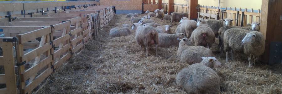 Accueil - Caractérisez et chiffrez chaque ouvrage